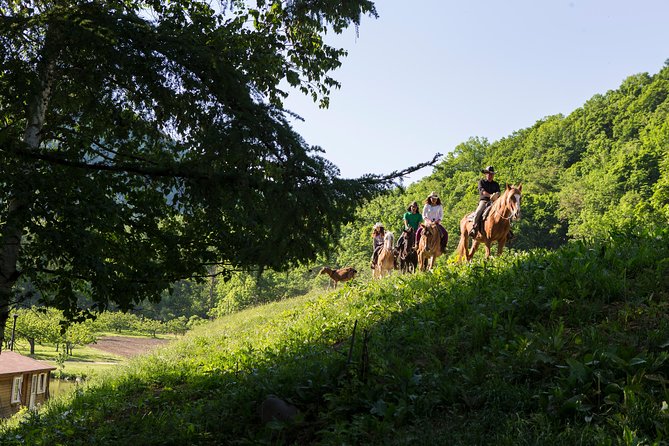 Horseback-Riding in a Country Side in Sapporo - Private Transfer Is Included - Whats Included