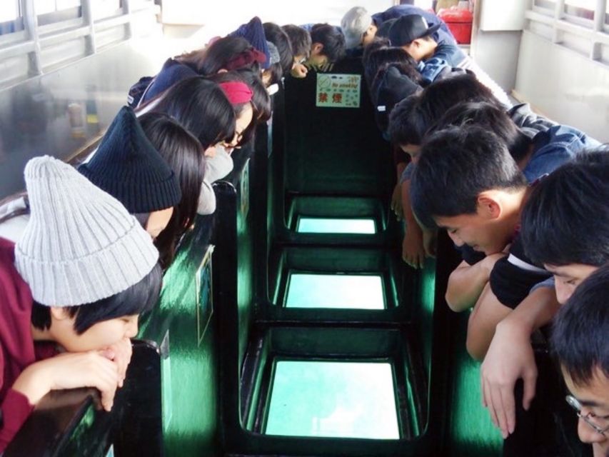 Kabira Bay: Coral Reef & Sea Life Glass-Bottom Boat Tour - Experience