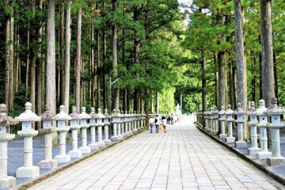 Koyasan: Mt. Koya Guided Private Walking Day Tour - Experience