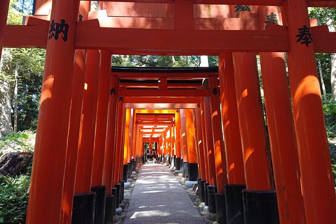 Kyoto Lazy Bird Tour - Cancellation Policy