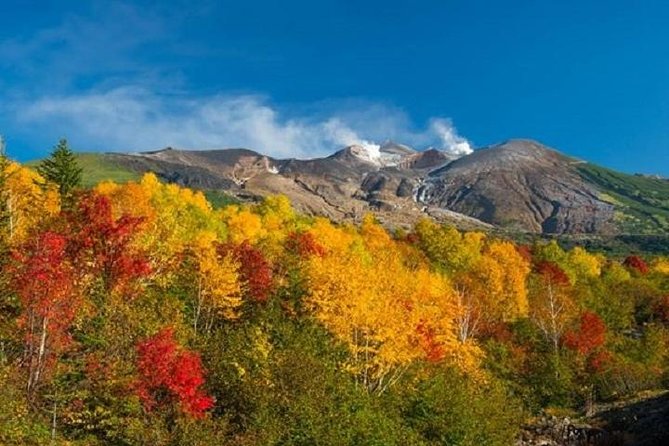 Lake Toya and Noboribatsu Hell Valley Private Day Trip - Mt. Usu