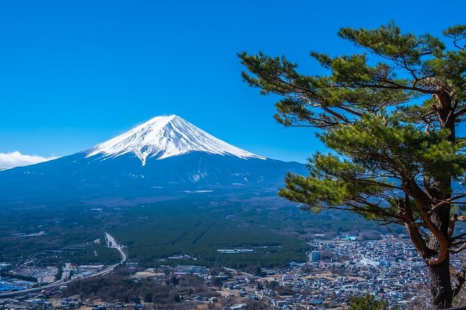 Mount Fuji Private Tour by Car With Pick up - Traveler Photos