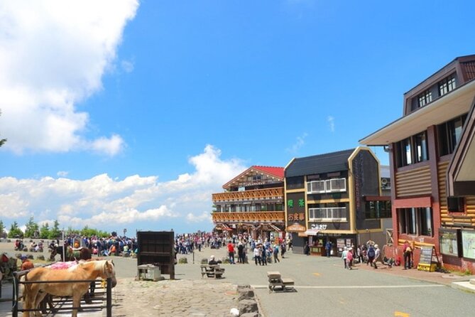 Mt. Fuji, Mt Fuji Panoramic Ropeway & Seasonal Fruits Picking - Mt. Fuji Visit