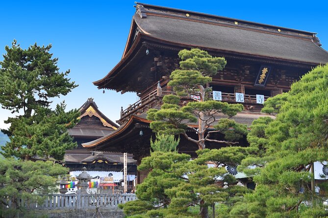 Nagano All Must-Sees Half Day Private Tour With Government-Licensed Guide - Cancellation Policy