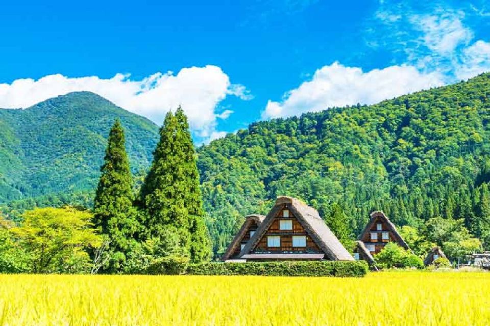 Nagoya: Shirakawa-go Village and Takayama UNESCO 1-Day Trip - Highlights of Shirakawa-go Village