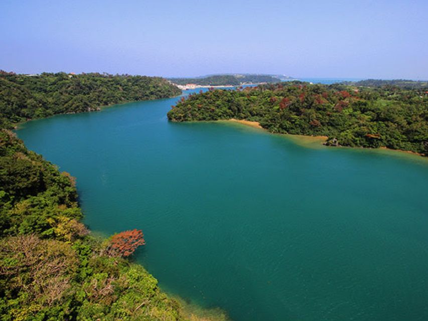 Naha: 北部沖縄観光ツアー＆美ら海水族館 - Explore Okinawas Best Sights and Attractions