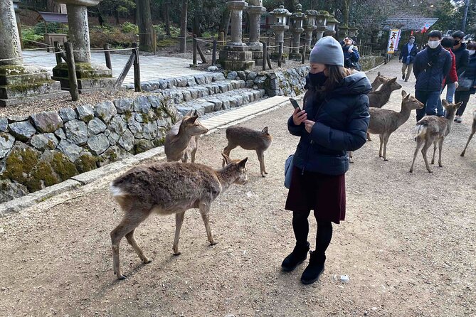 Nara Full-Day Private Tour Osaka/Kyoto Departure With Government-Licensed Guide - Personalized Itineraries for an Unforgettable Experience