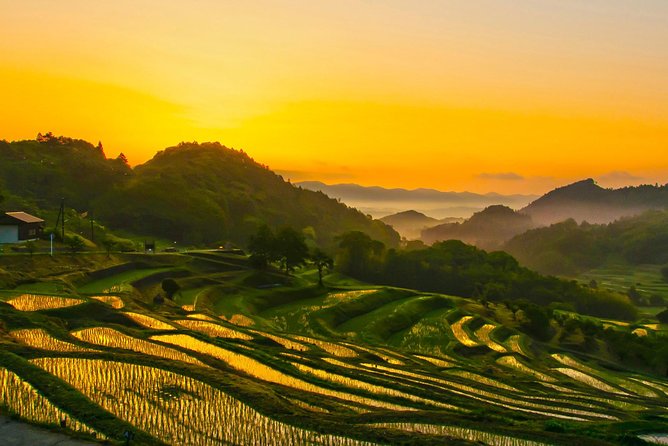 Noto Full Day Driving Tour (Private Car) - Comfortable Transportation