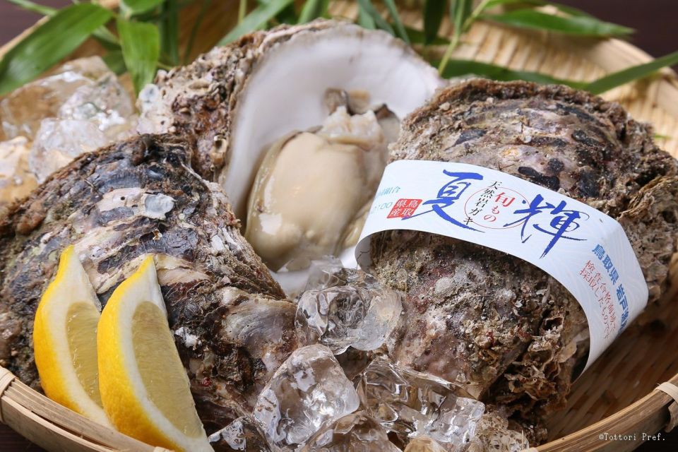 Okayama: 1 or 2 Day Car Rental - Rental Inclusions