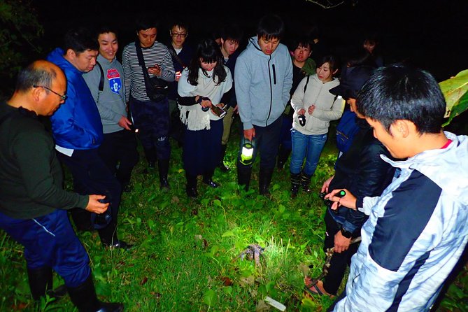 [Okinawa Iriomote] Night Adventure Tour - Thrilling Nighttime Activities on Iriomote Island