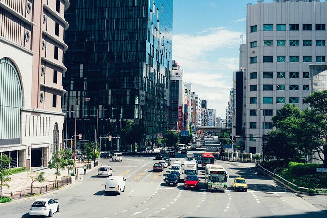 Osaka Like a Local: Customized Private Tour - Immerse in Tradition: Uncover Osakas Cultural Heritage