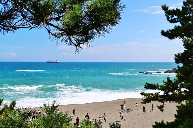 Port Pick-Up: Kochi Tour With Licensed Guide and Vehicle - Tour Overview and Customization Options