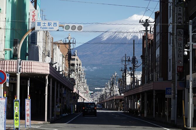 Private Transport Mt Fuji and Hakone 1 Day Trip - Passenger Requirements and Details