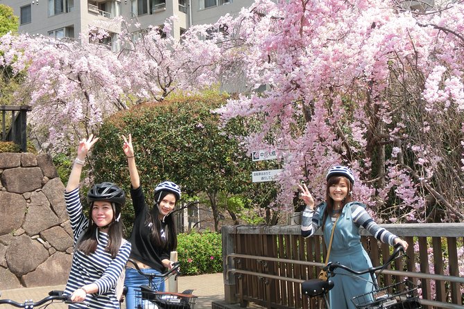Tokyo Cherry Blossoms Blooming Spots E-Bike 3 Hour Tour - Experience the Beauty of Tokyos Cherry Blossoms in 3 Hours