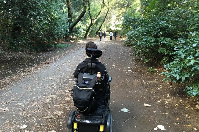 Tokyo Full-Day Wheelchair Accessible Highlights Tour - Reviews