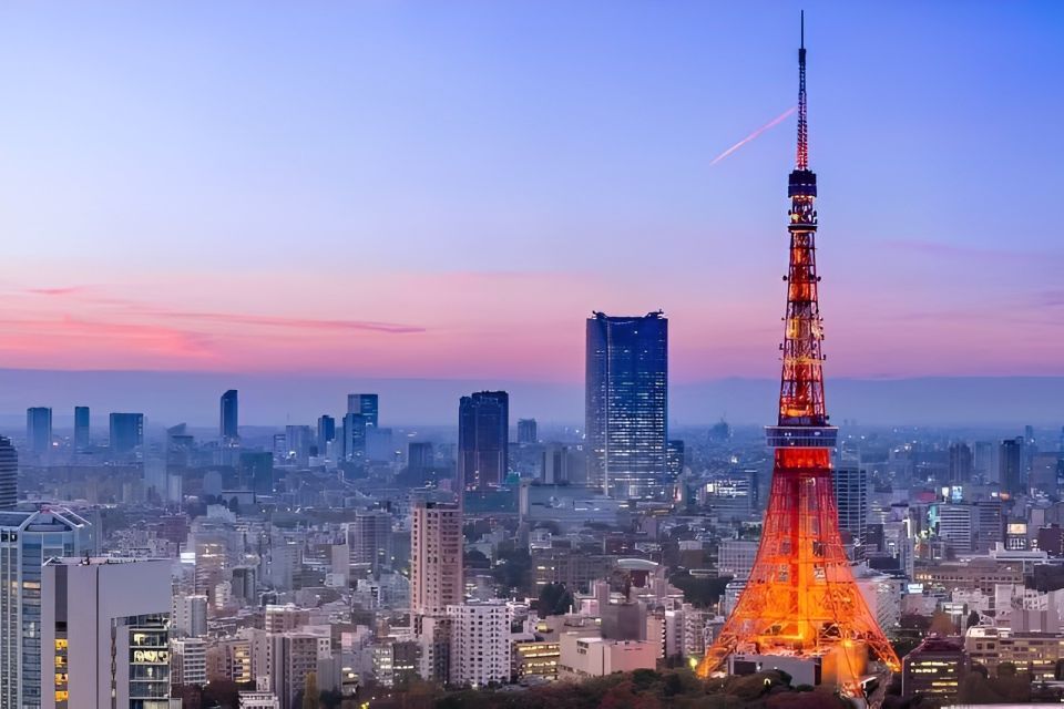Tokyo Tower: Admission Ticket & Private Pick-up - Private Pickup Service