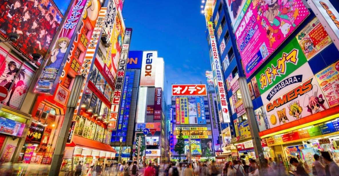 Tokyo: Winter Illuminations Private Tour With a Local - Experience Highlights