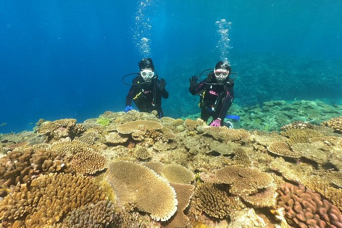 Trial Boat Dive 2 DIves at Minna or Sesoko, Okinawa - Dive Duration and Schedule