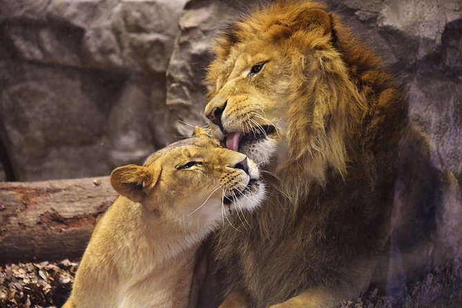 Yokohama Zoo Zoorasia Admission Ticket - Online Booking