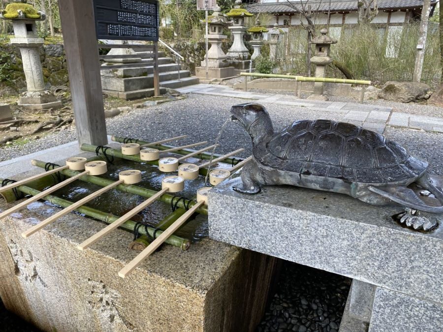 Hour Kyoto Bike Tour Through Arashiyama Bamboo Grove