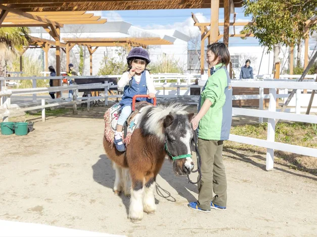 Kobe Animal Kingdom Admission Ticket - Ticket Prices and Booking Information