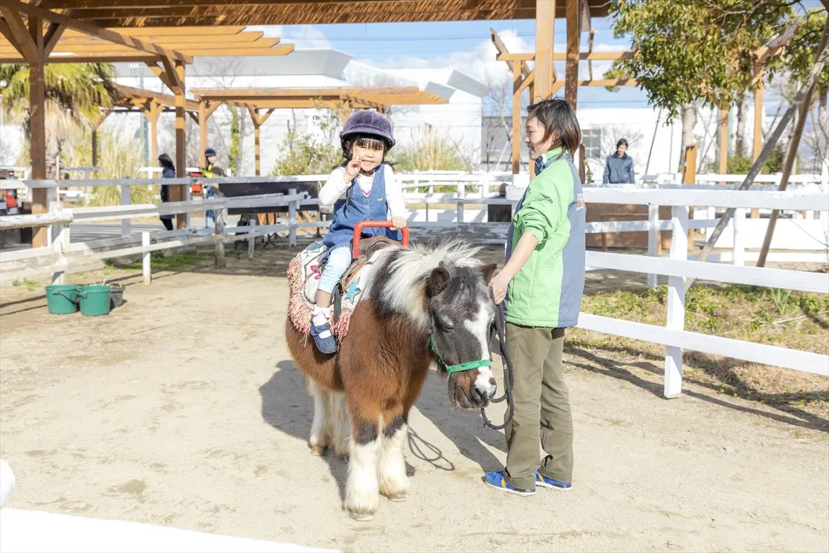 Kobe Animal Kingdom Admission Ticket - Up-Close Encounters With Sumatran Tigers
