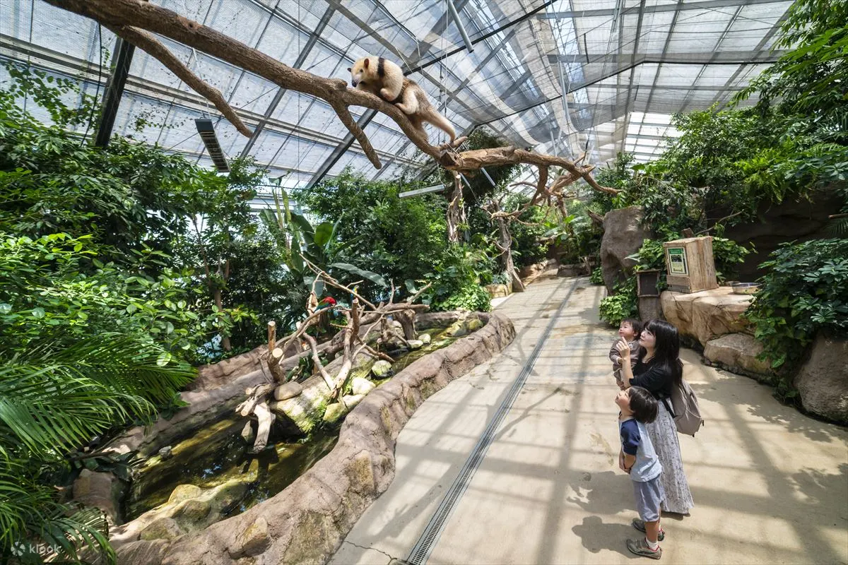 Kobe Animal Kingdom Admission Ticket - Animal Encounters and Experiences