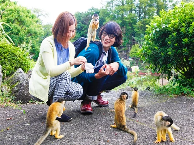 Izu Shaboten Zoo Ticket in Shizuoka