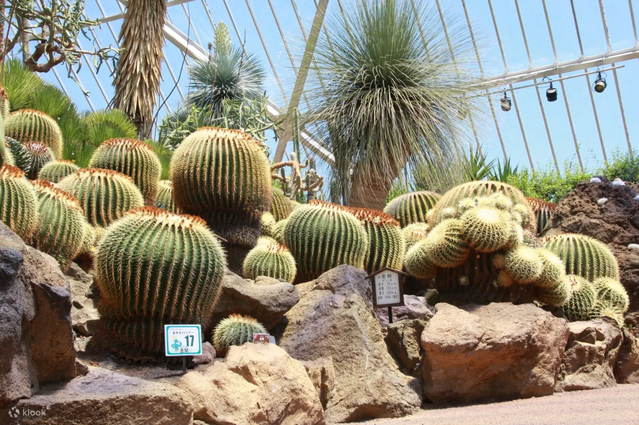 Izu Shaboten Zoo Ticket in Shizuoka - Experience Enhanced Health & Hygiene Measures at the Zoo