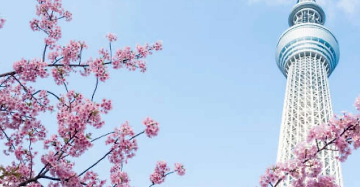 1 Day Tokyo Tour: Customizable (Up-To 6 Persons) - Personalized Guide Experience