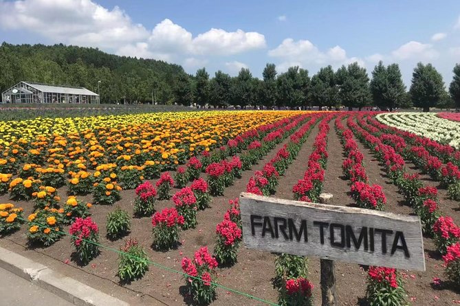 [Biei/Furano] One-Day Sightseeing by Private Car! - Shopping Recommendations in Biei/Furano