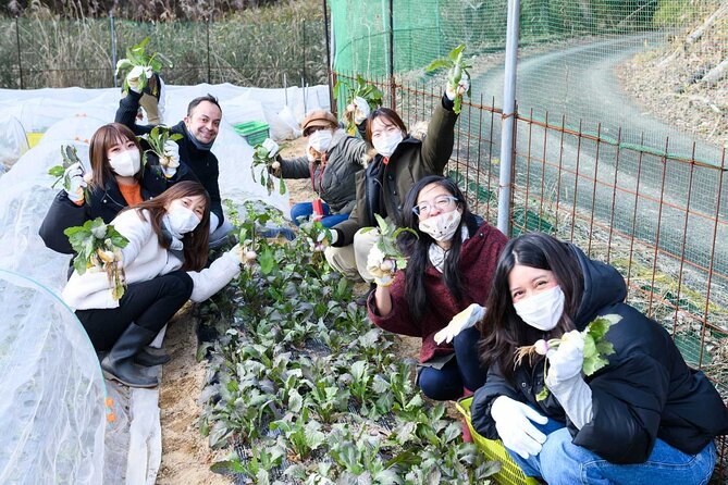 Farming Experience in a Beautiful Rural Village in Nara - Cultural Experiences