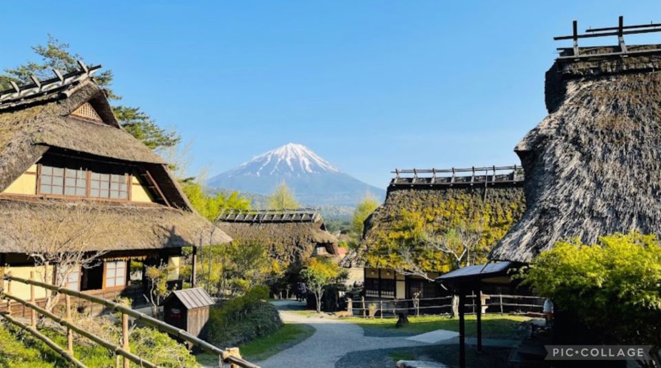 From Tokyo/Hakone/Fuji: Hakone & Mt. Fuji Day Trip W/Pickup - Driver and Language Assistance