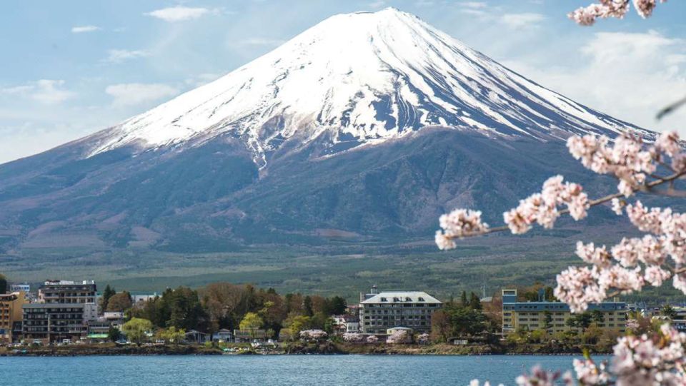 From Tokyo: Mt Fuji Classic Route Private Day Tour - Customer Reviews