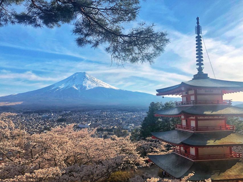 From Tokyo: Private Trip to Mount Fuji and Lake Kawaguchi - Driver Details
