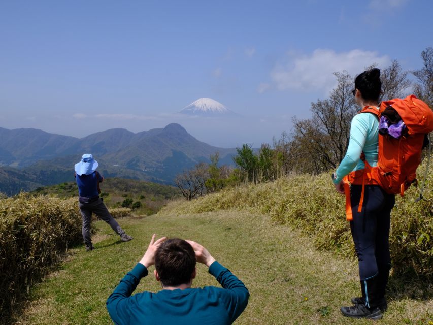 Hakone: Traverse the Hakone Caldera and Enjoy Onsen - Physical Requirements