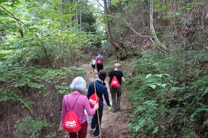 Highlights of Japan Tour: 10-day Small Group - Cultural Highlights