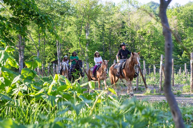 Horseback-Riding in a Country Side in Sapporo - Private Transfer Is Included - Meeting and Pickup