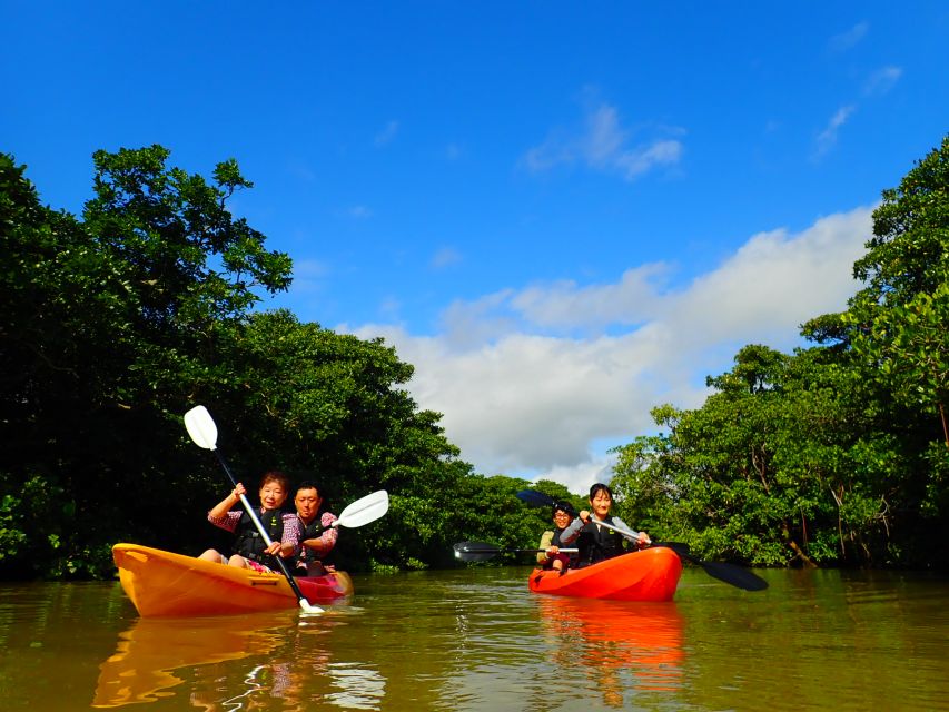 Ishigaki Island: 2-Hour Miyara River Kayaking Tour - Duration and Availability