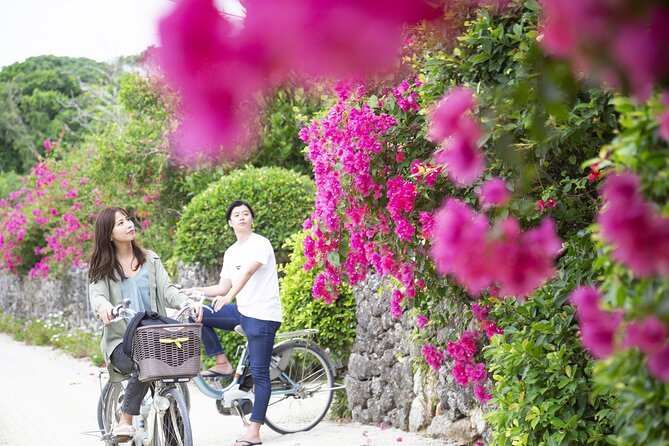 [Ishigaki]Phantom Island Snorkeling Taketomi Island Sightseeing - Activity Details and What to Expect