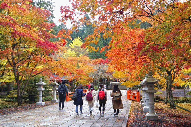Koyasan Full-Day Private Tour - Cancellation Policy
