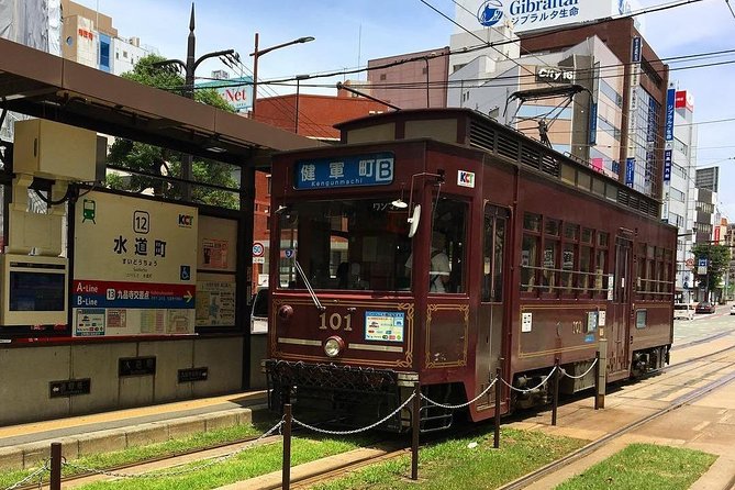 Kumamoto Full-Day Private Tour With Government-Licensed Guide - Private Vehicle