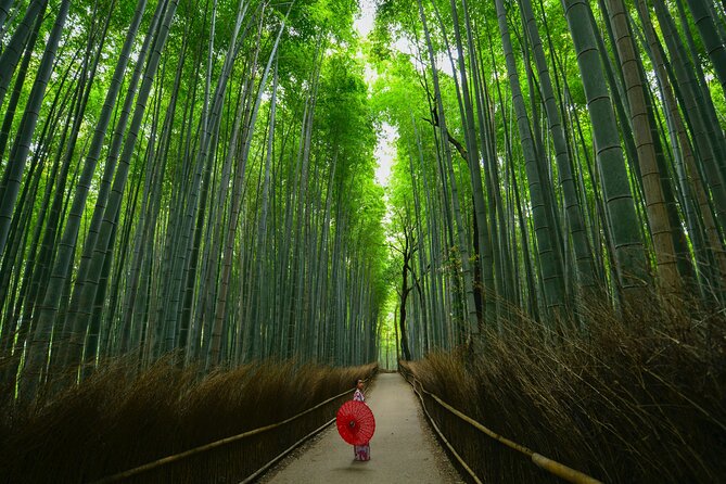 Kyoto Explore Arashiyama Walking Tour - Contact Information and Product Details