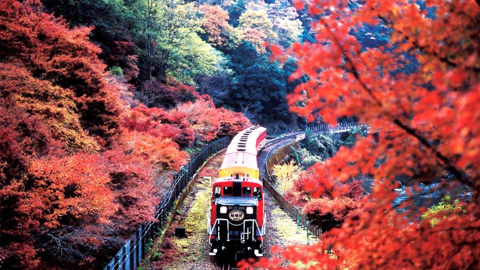 Kyoto Sanzenin Temple,Arashiyama Day Tour From Osaka/Kyoto - Walk Through the Famous Bamboo Forest