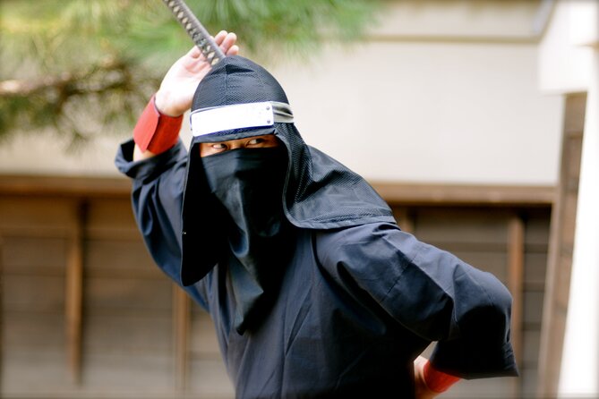 Kyoto Top Must-See Golden Pavilion and Bamboo Forest Half-Day Private Tour - Unveiling the Beauty of Kyotos Golden Pavilion