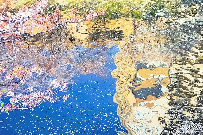 Licensed Guide Tokyo Meguro Cherry Blossom Walking Tour - Traveler Information