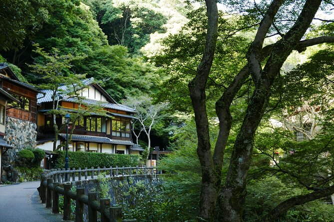 Minoh Waterfall and Nature Walk Through the Minoh Park - Discovering Ryuanji Temples History