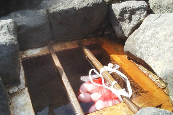 Mountain Bike Tour From Sapporo Including Hoheikyo Onsen and Lunch - Reviews and Recommendations: Overall Rating and Feedback