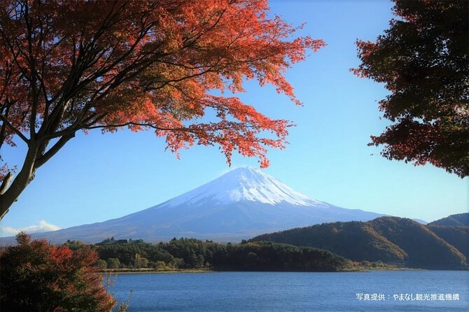 Mt. Fuji & Arakurayama Sengen Park Bus Tour - From Tokyo - Possible Changes to Itinerary