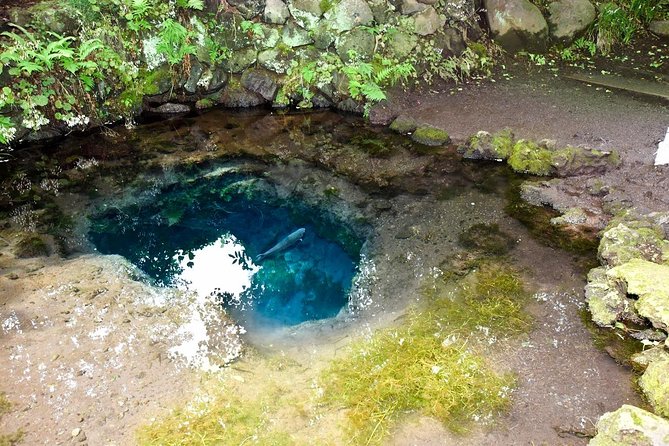 Mt Fuji Day Trip From Tokyo by Car With Photographer Guide - Capturing the Essence of Hakone